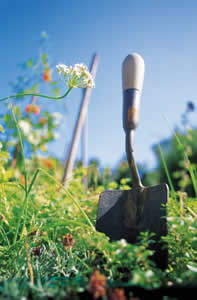 Sustainable-shovel-in-field